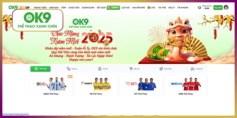 Tổng quan đánh giá dịch vụ từ phía người dùng tại sảnh cược thể thao Ok9